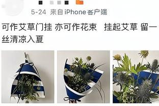 波杰姆：看到除了库里的那些超巨们的哨子 挺酷的